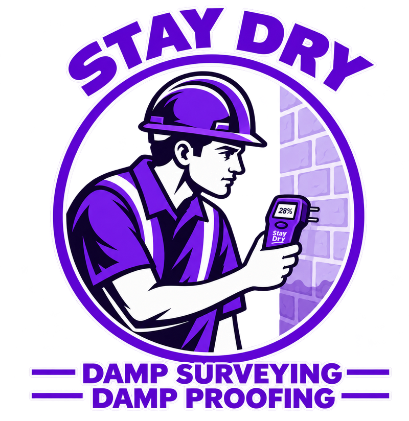 Stay Dry: damp surveying and damp proofing